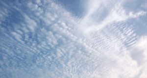 キャンパスから見た空1