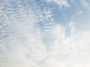 キャンパスから見た空2